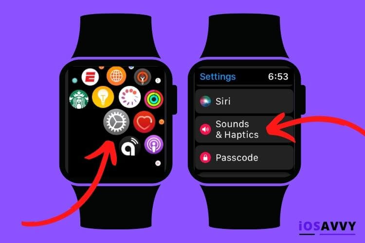 settings screen on apple watch